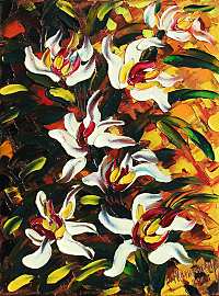 Orchidee