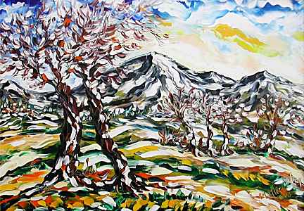 Grandi alberi